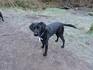 January 2017 Photo 5